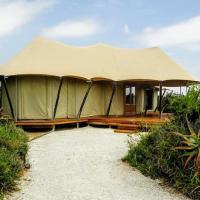 Parkview Safari Lodge Tents